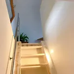 Tilley Lounge Cocoon Penzion