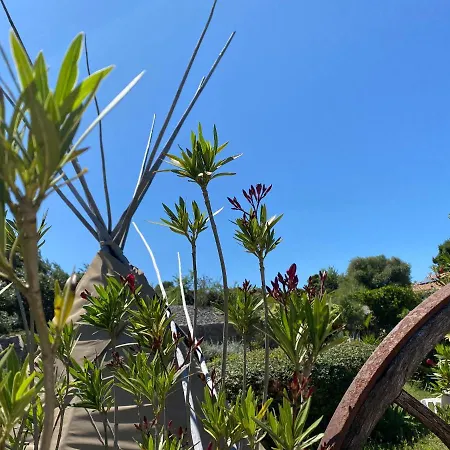 Tilley Lounge Cocoon *