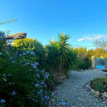 Tilley Lounge Cocoon Guest house