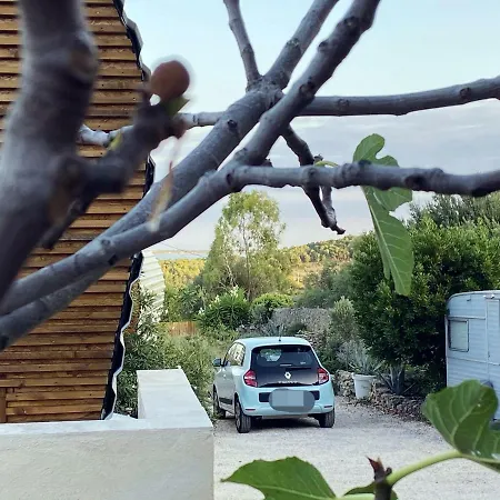 Tilley Lounge Cocoon Affittacamere Fitou