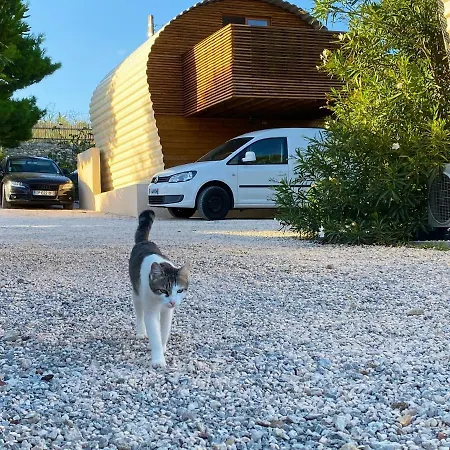 Tilley Lounge Cocoon Affittacamere *