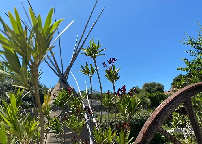 Tilley Lounge Cocoon *