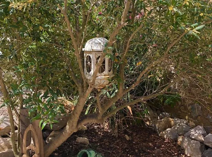 Casa de hóspedes Tilley Lounge Cocoon *