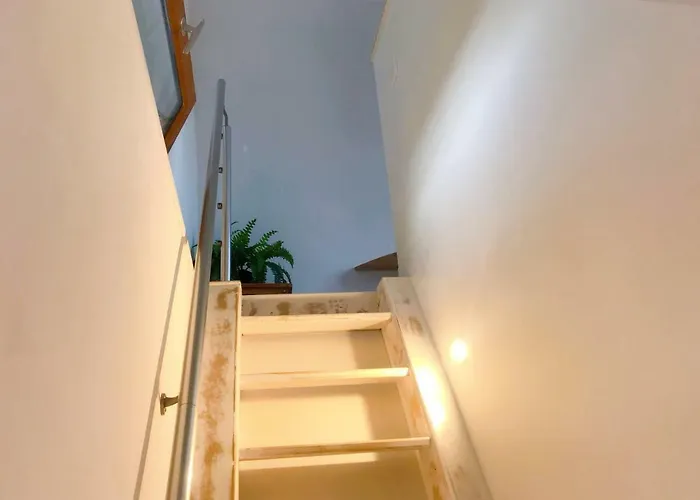 Tilley Lounge Cocoon Casa de hóspedes