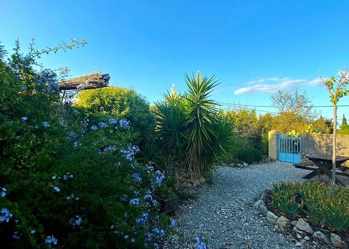 Tilley Lounge Cocoon Casa de hóspedes