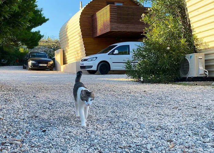 Tilley Lounge Cocoon Casa de hóspedes *