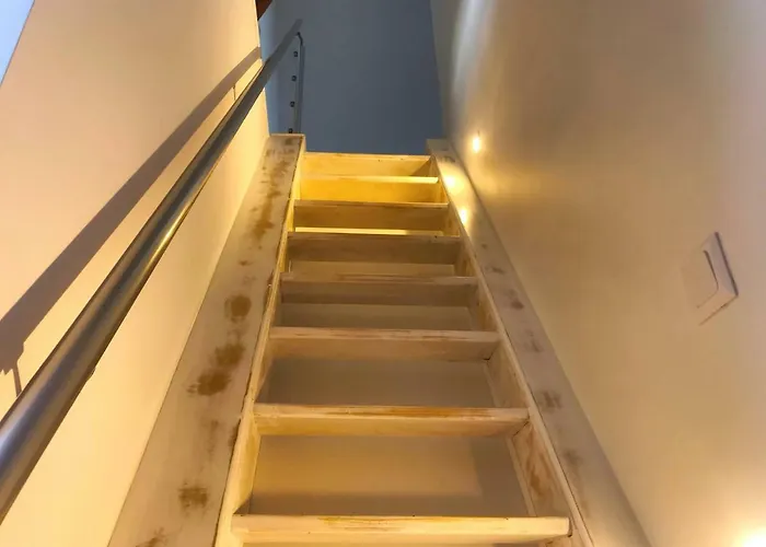 Tilley Lounge Cocoon *